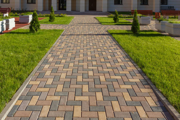 Best Best Driveway Pavers  in Palmhurst, TX